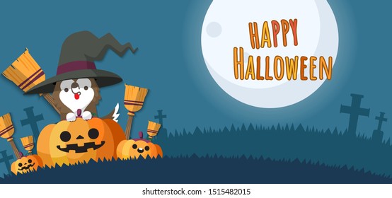 Heppy Halloween witch dog on Jack-o-lantern pumpkins with a broom.Vector illustration.