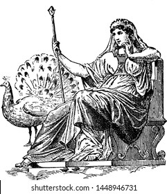 Hera vintage engraved illustration drawing. 