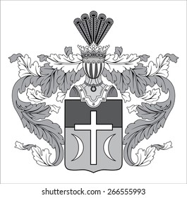 heraldic shield on white background vector