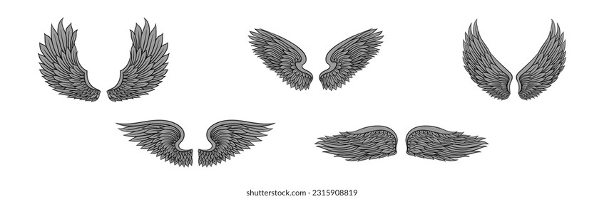 Heraldic Wings with Feathers Isolated on White Background Vector Set