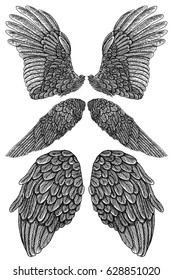 Heraldic wings set for tattoo and mascot design. Isolated vector illustration collection wings.