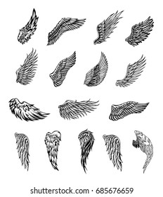 Heraldic wings set for tattoo or mascot design, vector graphic illustration