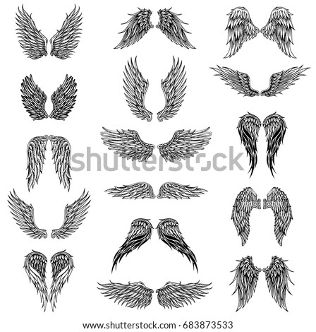 Heraldic wings set for tattoo or mascot design, vector graphic illustration