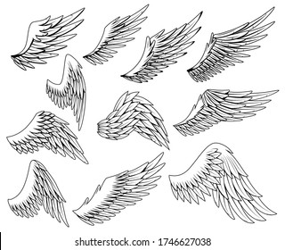 Heraldic wings set. Vintage birds wings. Set of design elements in coloring style