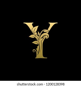 Heraldic Y Letter Logo With Luxury Floral Gold Design