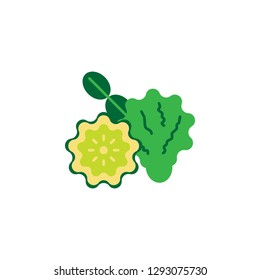 Herb, bergamot icon. Element of herb icon for mobile concept and web apps. Detailed Herb, bergamot icon can be used for web and mobile