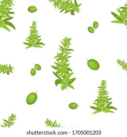 Herb and berry vector seamless pattern.Green rosemary branch and green olives. White background, isolated. Motifs scattered random.Printing with greenery.White background.Can be use for menu,packaging