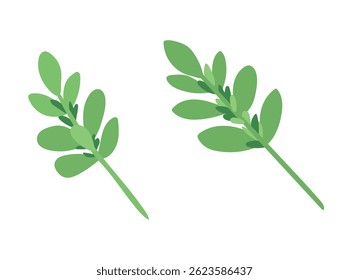 Ramo de ervas. Vetor plano, ilustração clipart isolada no fundo branco.