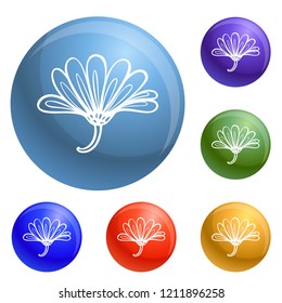 Herb calendula icons set vector 6 color isolated on white background