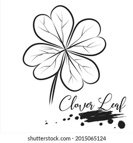 Herb, Clover leaf, medical plant line vector illustration