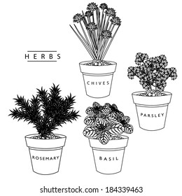 Herb collection EPS 10 vector, grouped for easy editing. No open shapes or paths.