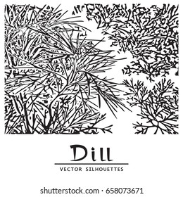 Herb of Dill. Vector Illustration on a White Background.