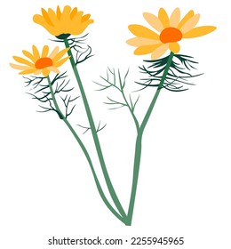 Herb or flower used in medicine and cosmetics, isolated icon of calendula flora. Healing powers of nature. Aromatic fragrance of botany, vegetation of wilderness and fields. Vector in flat style