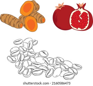 Herb and fruit  hand drawn vector illustration