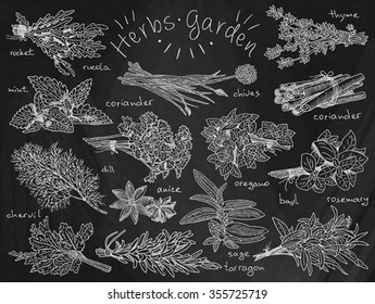 Herb garden on chalkboard background, rocket, mint, coriander, chervil, dill, anise, tarragon, sage, oregano, chives, thyme, basil, rosemary