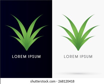Herb, Grass, Abstract tree, Leaf ,logo, symbol, icon, graphic, vector.