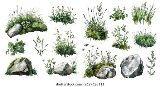 Herb grass and stones vector clipart illustration. Natural grass and field plants with mossy rocks. Meadow and swamp plants, stones and herbs in a realistic watercolor style.