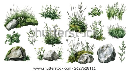 Herb grass and stones vector clipart illustration. Natural grass and field plants with mossy rocks. Meadow and swamp plants, stones and herbs in a realistic watercolor style.
