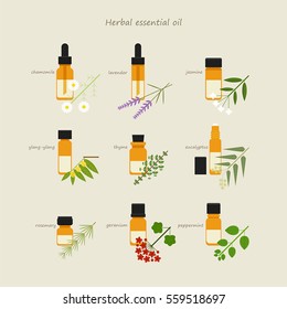 herb healing leaf grass nature vector illustration flat design