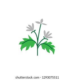 Herb icon. Element of herb icon for mobile concept and web apps. Detailed herb icon can be used for web and mobile