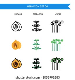 Herb Icon Set.Nut meg, Tarragon,Cress.