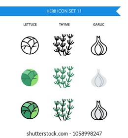 Herb Icon Set.Lettuce,Thyme,Garlic.