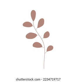 Herb icon vector hand drawn, tree branch. Simple leaves plant icon. Botanical doodle drawing. Botanical illustration for print, wedding card, invitation card, floral poster, sticker, logo vector