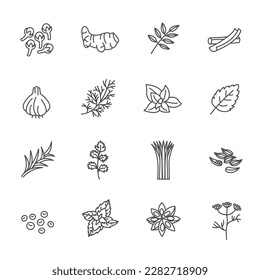 Herb icon Vector Illustration line Icons