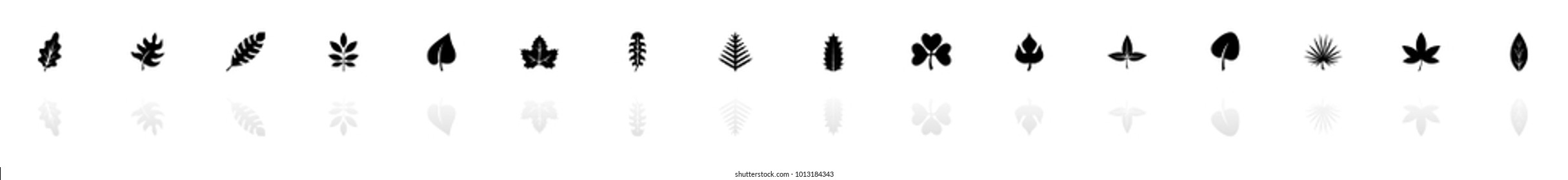 Herb icons - Black horizontal Illustration symbol on White Background with a mirror Shadow reflection. Flat Vector Icon.
