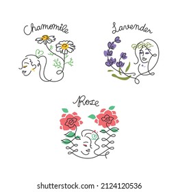 Herb illustration set (chamomile, lavender, rose)