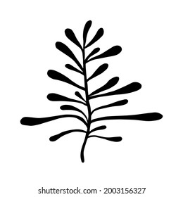Herb, leaf or tree doodle hand drawn vector illustration. Cute cartoon clipart, design element for kids book, decor of interior or textile or apparel.