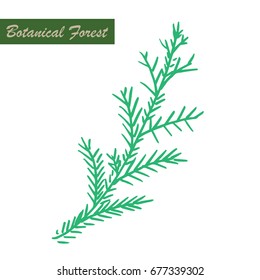 Herb leaves easy outline and pastel color vector.