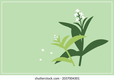 herb lemon verbena card stationery notepaper fragrant illustration nature healing tranquility Aloysia triphylla green
lemon perfume