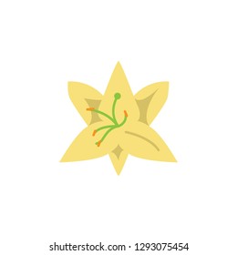 Herb, lily icon. Element of herb icon for mobile concept and web apps. Detailed Herb, lily icon can be used for web and mobile