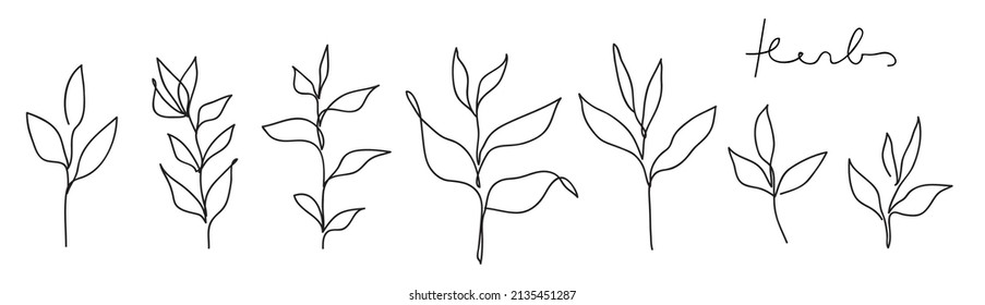 Colección de arte de la línea de hierbas. El resumen deja un conjunto continuo de dibujo de línea.
Ilustración de vector botánico elegante