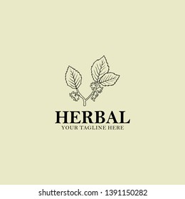 Herb Logo Design Vector Illustration