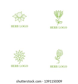Herb Logo Design Vector Illustration