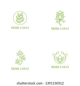 Herb Logo Design Vector Illustration Stock Vector (Royalty Free ...