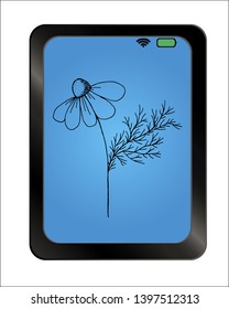 Herb medicinal chamomile on background plate. Hand drawing, sketch. Vector illustration of wild plants for labels, packaging.