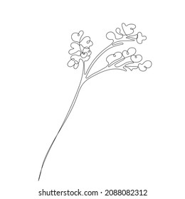 Herb. One line. Vector clip art