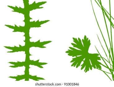 herb silhouette on white background, vector illustration