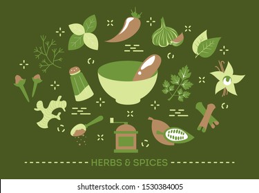 Herb and spice concept. Idea of fresh ingredient for cooking. Aroma leaf, natural scent. Set of colorful icons. Isolated flat illustration