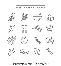 HERB AND SPICE ICON SET