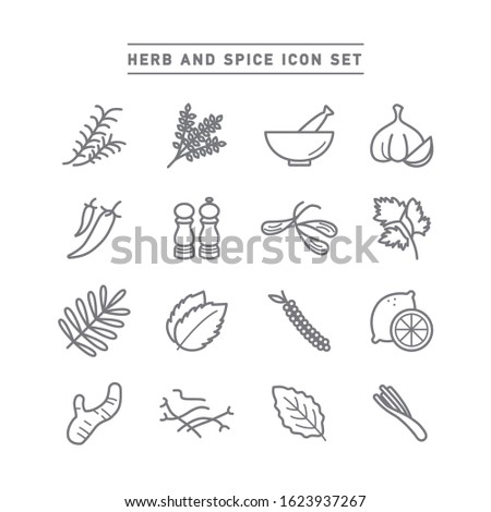 HERB AND SPICE ICON SET