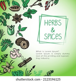 Plantilla de diseño de paquetes de hierbas y especias, elemento dibujado con estilo. Fábrica de hierbas, tomillo, espinacas, romero, albahaca, etc. Logotipo de diseño lineal.