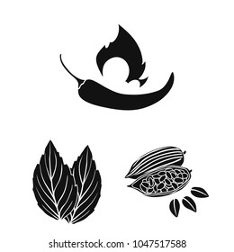 Herb and spices black icons in set collection for design.Different kinds of seasonings vector symbol stock web illustration.