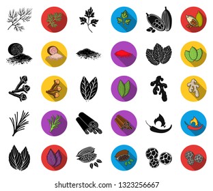 Herb and spices black,flat icons in set collection for design.Different kinds of seasonings vector symbol stock web illustration.