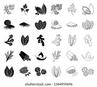 Herb and spices black,outline icons in set collection for design.Different kinds of seasonings vector symbol stock web illustration.