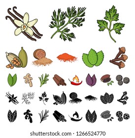 Herb and spices cartoon, black icons in set collection for design.Different kinds of seasonings vector symbol stock web illustration.