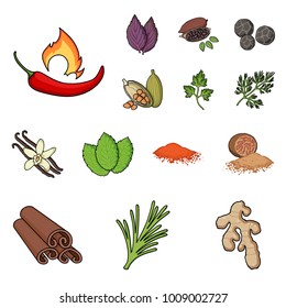 Herb and spices cartoon icons in set collection for design.Different kinds of seasonings vector symbol stock web illustration.